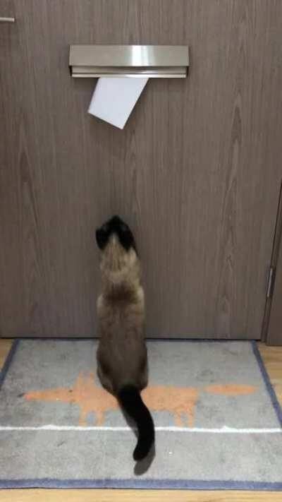 The daily post tapping ritual