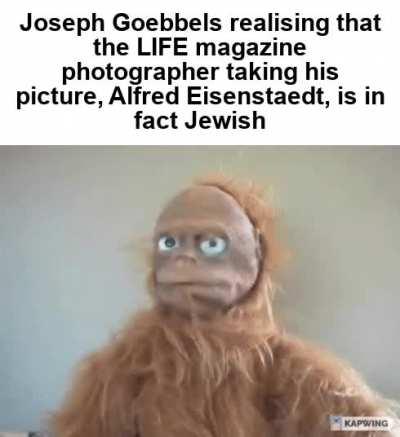 Eisenstaedt himself is quoted as saying 