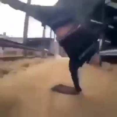 Blursed_ YummDancee..