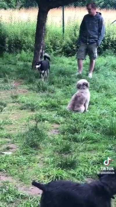 like me and my friends