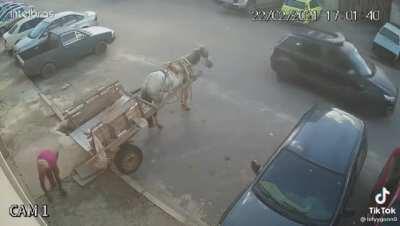 Manobrista de cavalo, fodase