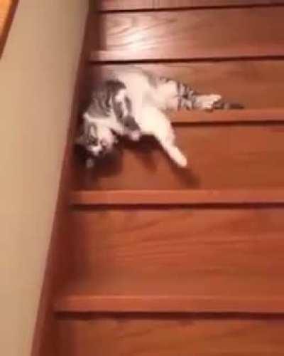 This is me everyy morning dragging myself out the house to go to work! 😅