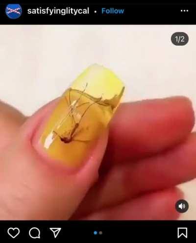 Dead mosquitoes in a manicure.