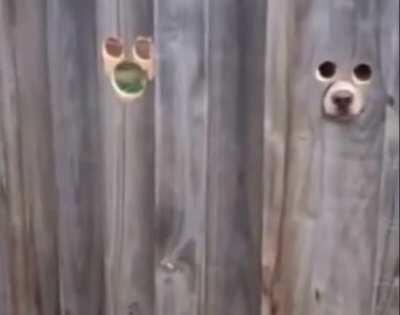 You have a funny feeling like you’re being watched.