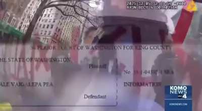 Compassion to the guilty is cruelty to the innocent. Leftist judges are a danger to the public.