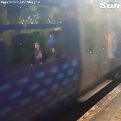 Harry Potter fans queue for hours to see Hogwarts Express only for a commuter train to block the view