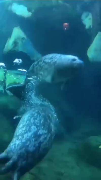 I don't have time for your shit Dave 