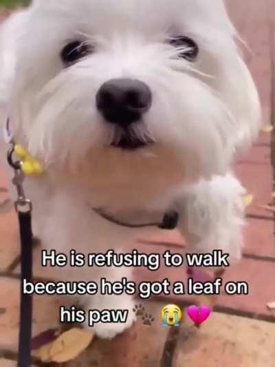 poor baby! the horror!