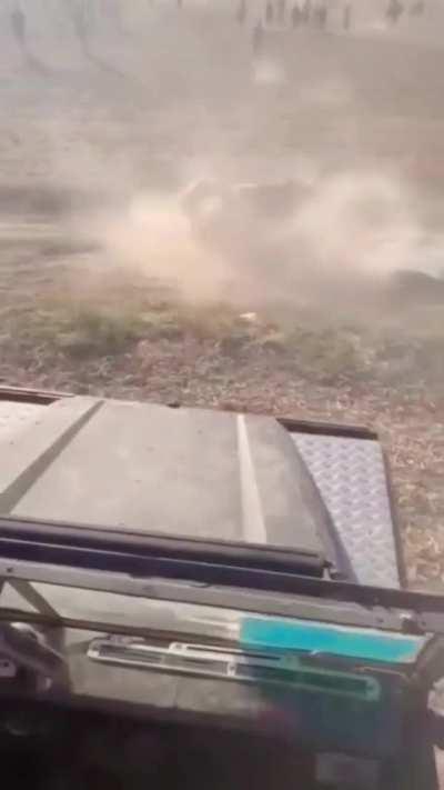 Angry bull does a front flip 