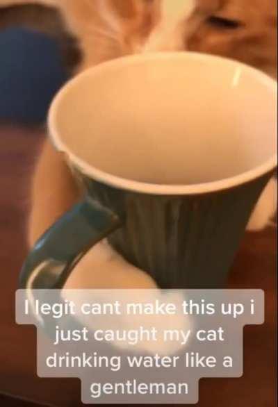 Oh wow, haha that's so co-