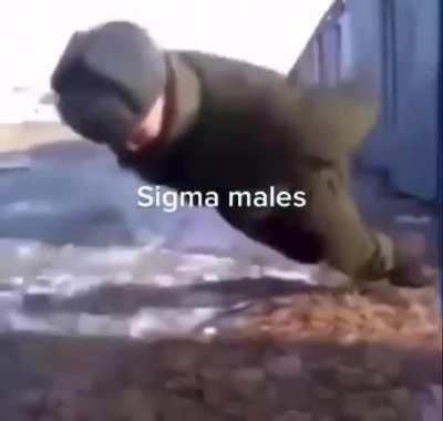 Sigma Maleee