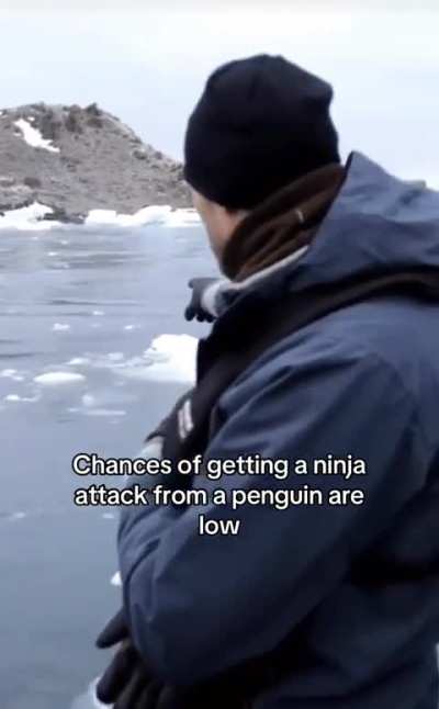 I know Kowalski when I see him
  