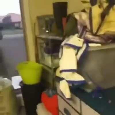 Australia in a nutshell 😂