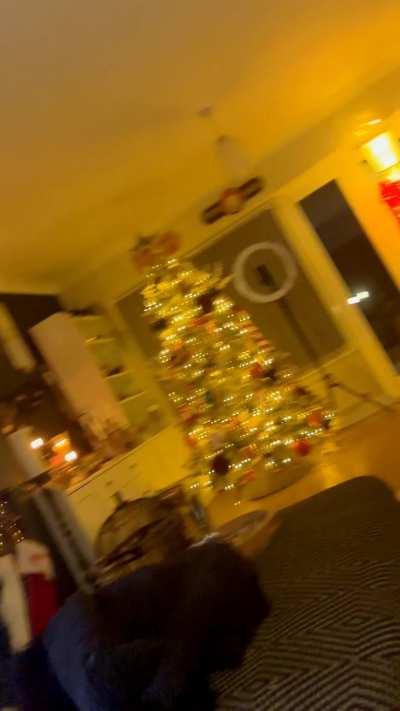 My husband is just the best, I was really horny but my husband wanted to watch the football so he invited a bull over for me to enjoy for the night whilst he watched the game