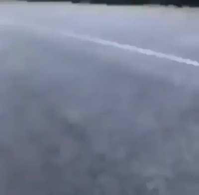 Haha alligator go brrr