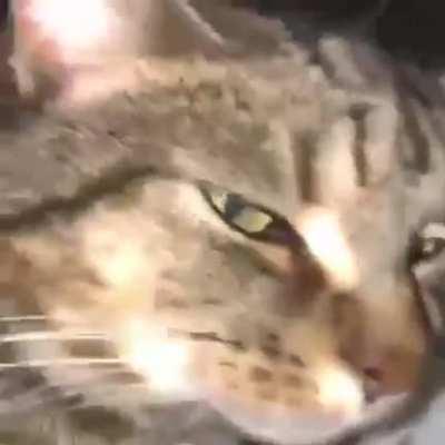 his ass IS hitting clips in csgo!