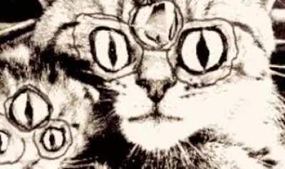 Less than 24 hours until r/pan opens for broadcasting!! (Who's excited for Halloween?)