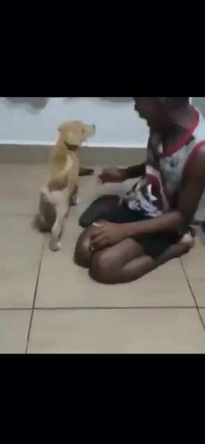 Wanted a puppy all his life, but his mum has never been able to afford one