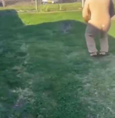 Baby Kangaroo entered their garden and was refusing to leave. So this guy dressed up as mama kangaroo and tried to put it in his Kangaroo pouch