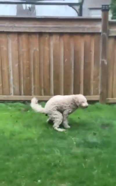 This tornado won't stop my shit