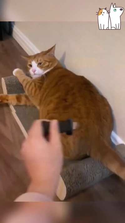 Do you think he felt anything?