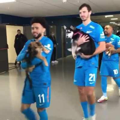 Zenit St Petersburg players carried dogs from local adoption centers on to the pitch pre-game
