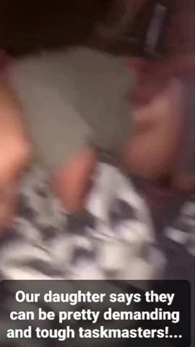 [kik txm_nxx] show me what made you cum last time💦👀