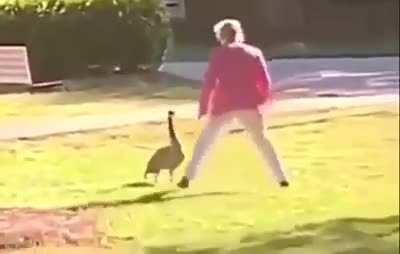 The Great Conquaker of fierce feather Fouls