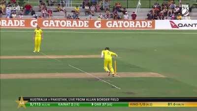 pakistan running between the wickets ☕️