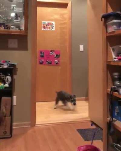 Real-life cartoon physics