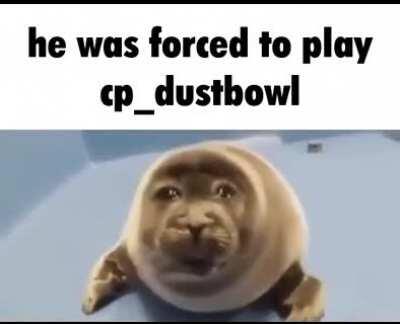 😭😢😢😭😭😭😭😭😭😭😭😭😭