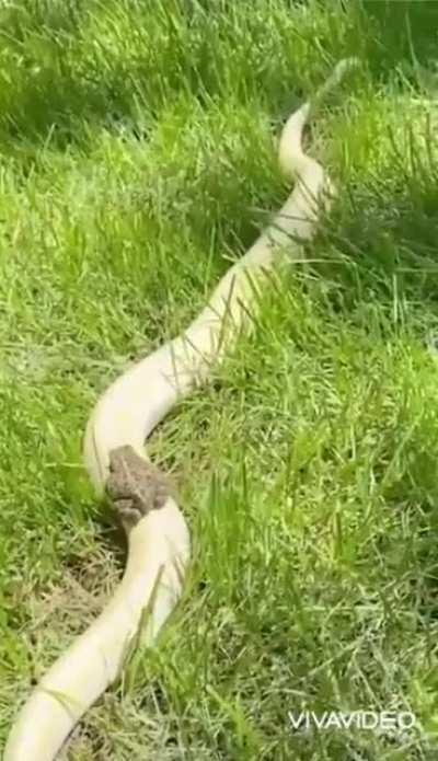 I made the thing (sounds on)