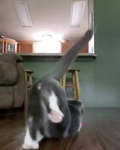 he do a dangerous dance!