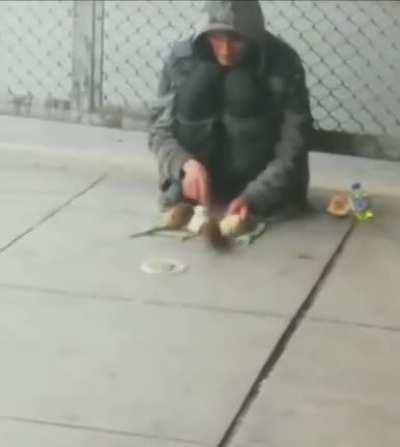 Pied Piper of Hamelin