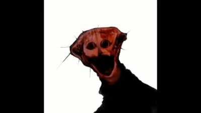 posting random shit on the internet day 14 