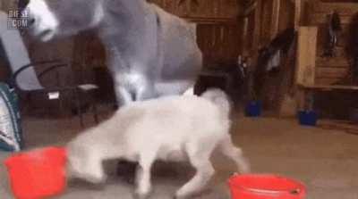 This has to the the jerkiest of all