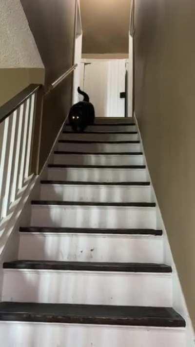Summoning the demon of chonk