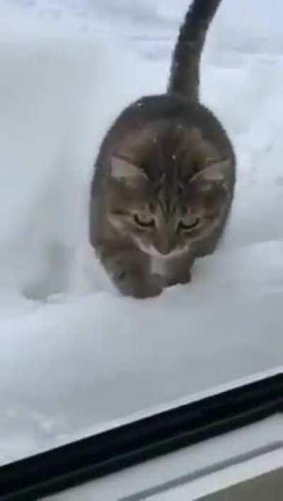 Miscatculated that one