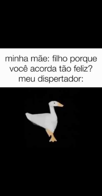 vou colocar isso agora...