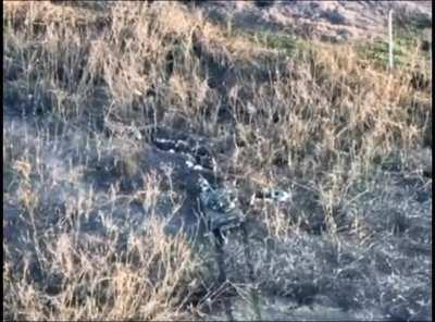 I've had it with these mother F*&^ing Ruzzians in Ukraine!