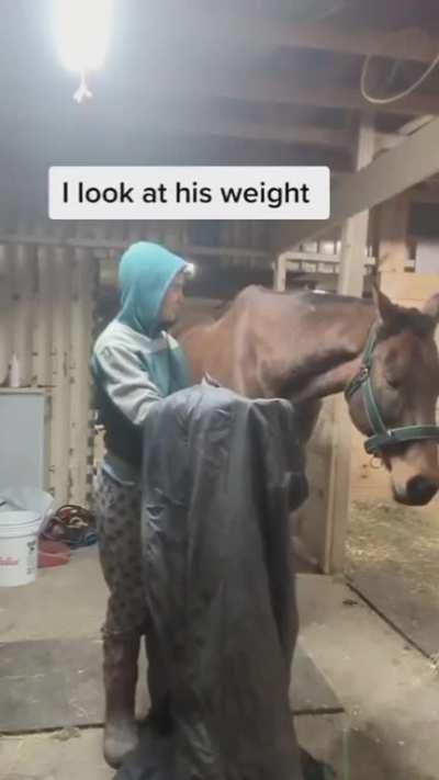 can see the obvious relief!