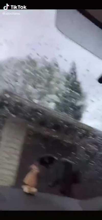 Credits to @ajochims