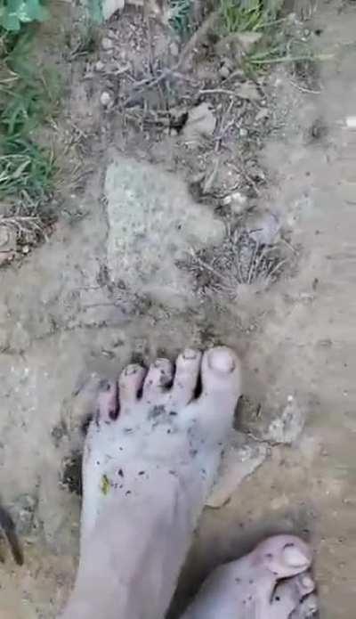 Massive Grasshopper Part 4