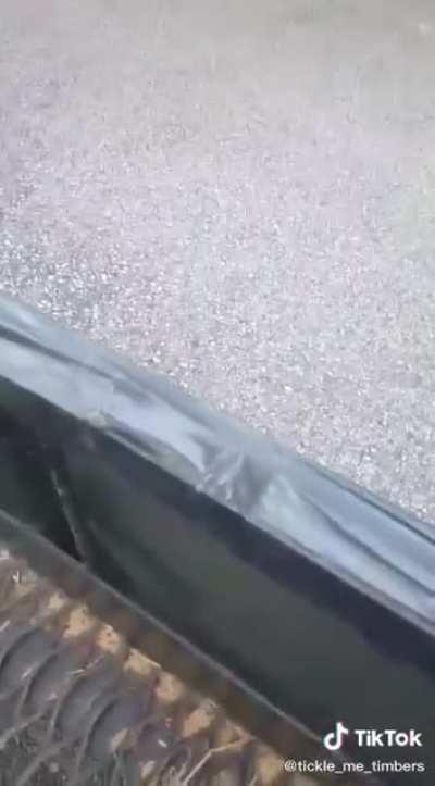 To scare a bunch of tourists