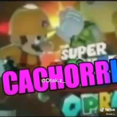 Quando você ta puto com o arrombado do seu cachorro: