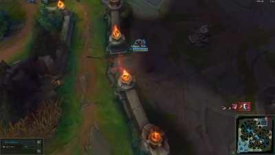 Did not expect to kill her LOL