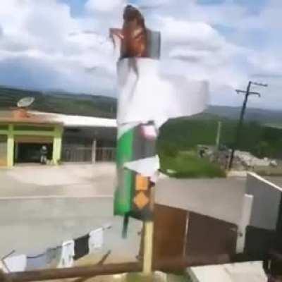 Mentalidade do barata