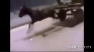 eu chegando no churras dos subs