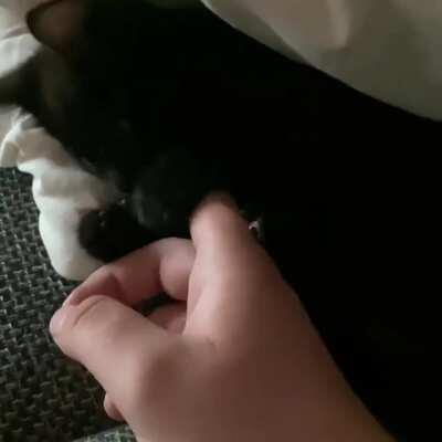 Was told to post this here. This is Sammy.