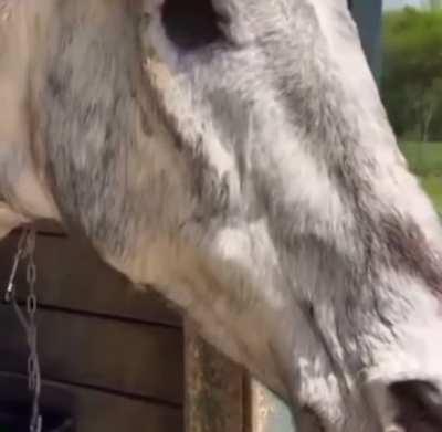 Ayo my mans missing something